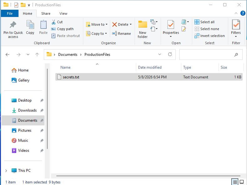 Windows File Explorer on project-x-dc showing the ProductionFiles folder inside Documents, with secrets.txt visible inside it.